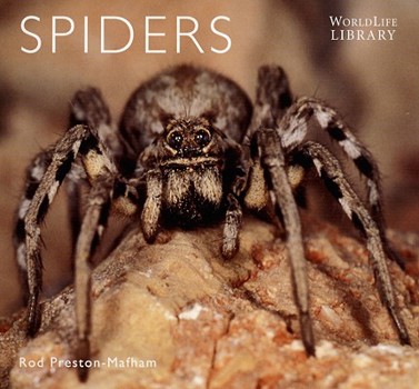 Paperback Spiders Book