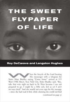 Paperback Roy Decarava and Langston Hughes: The Sweet Flypaper of Life Book