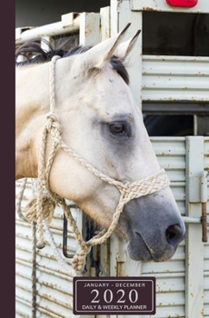 January - December 2020 Daily & Weekly Planner: Mini Calendar; Beautiful Rodeo Horse