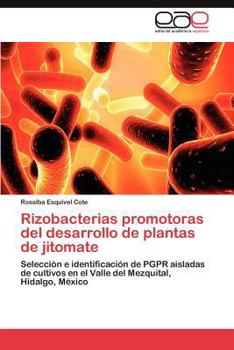 Paperback Rizobacterias promotoras del desarrollo de plantas de jitomate [Spanish] Book