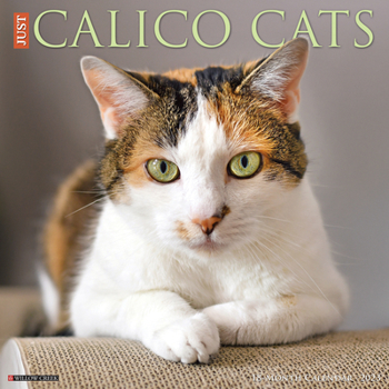 Calendar Just Calico Cats 2023 Wall Calendar Book