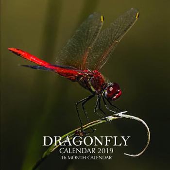 Paperback Dragonfly Calendar 2019: 16 Month Calendar Book