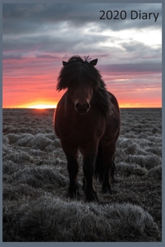 Paperback 2020 Diary - Week per View: Horse Diary, Planner, Agenda - Gift for Horse Lover - Pretty Welsh Pony Book