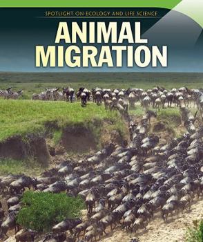 Paperback Animal Migration Book