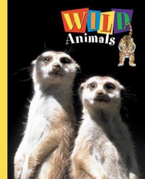 Hardcover Wild Animals Book