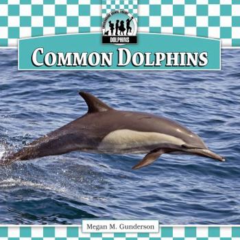 Common Dolphins - Book  of the Dolphins