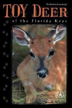 Library Binding Toy Deer of the Florida Keys Book