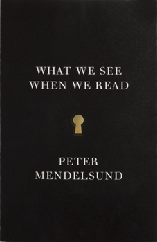 Paperback What We See When We Read Book