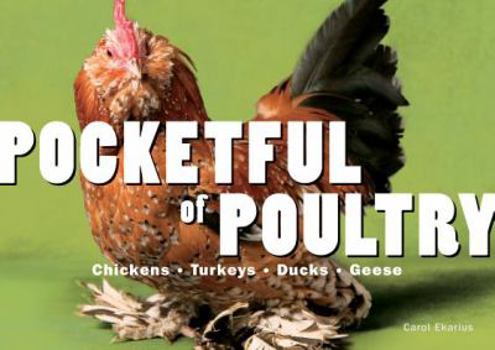 Paperback Pocketful of Poultry Book