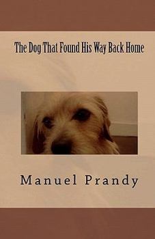 Paperback The Dog That Found His Way Back Home Book