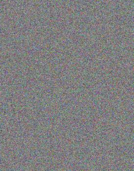 Perfect Paperback The I Hate Wendy Club Book