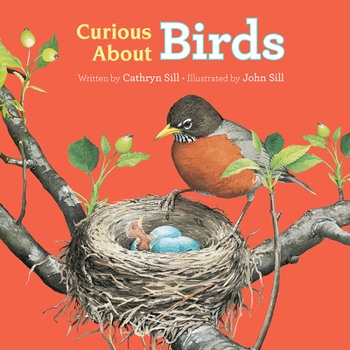 Board book Curious about Birds Book