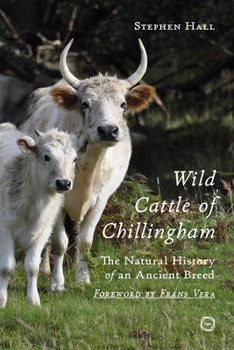 Hardcover Wild Cattle of Chillingham: The Natural History of an Ancient Breed Book