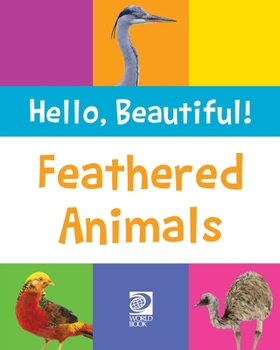Paperback Feathered Animals Book