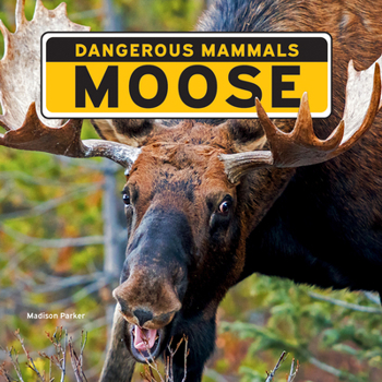 Paperback Moose Book