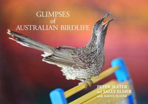 Hardcover Glimpses of Australian Birdlife Book