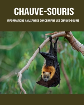 Chauve-Souris: Informations Amusantes Concernant les Chauve-Souris
