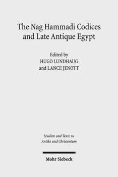 Paperback The Nag Hammadi Codices and Late Antique Egypt Book
