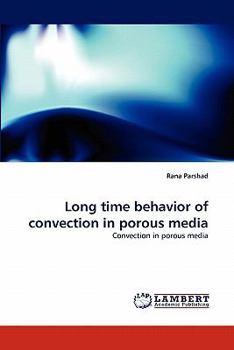 Paperback Long Time Behavior of Convection in Porous Media Book