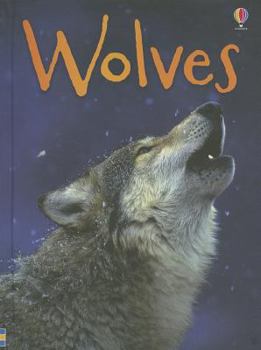 Hardcover Wolves Book