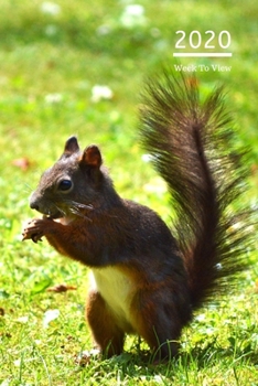 2020 A5 Diary Week To View Planner For All Occasions: | Year Planner For Business, Office, Home, University, College, School, Appointments, Organizer.