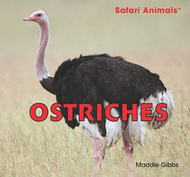 Ostriches - Book  of the Safari Animals