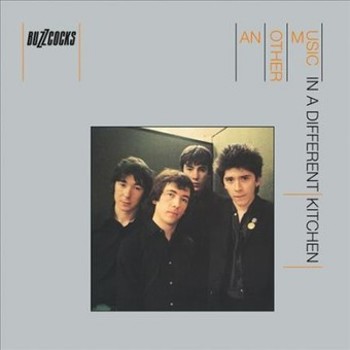 Vinyl Another Music in a Different Kitchen Book