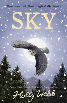 Hardcover Sky Book