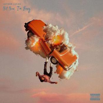 Vinyl Not Now  I'm Busy Book