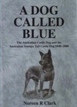 Hardcover A Dog Called Blue: The Australian Cattle Dog and the Australian Stumpy Tail Cattle Dog 1840-2000 Book