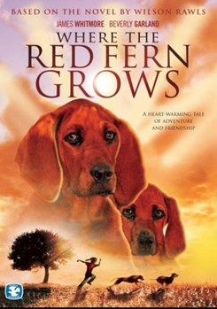 DVD Where the Red Fern Grows Book
