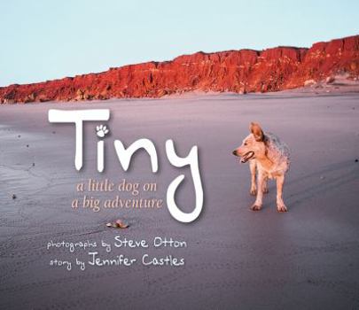 Hardcover Tiny: A Little Dog on a Big Adventure Book