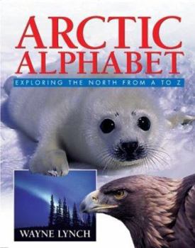 Paperback Arctic Alphabet: Exploring the North from A to Z Book