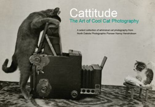 Paperback Cattitude Book