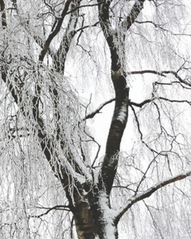 College Ruled Composition Notebook