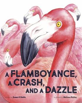 Hardcover A Flamboyance, A Crash, and A Dazzle Book