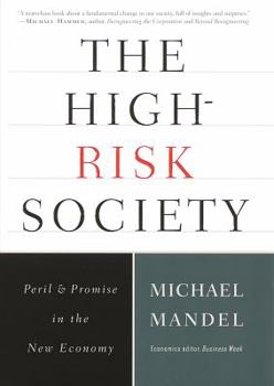 Hardcover The High-Risk Society:: Peril and Promise in the New Economy Book