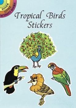 Tropical Birds Stickers