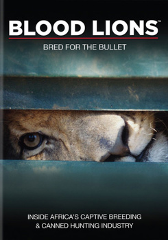 DVD Blood Lions Book