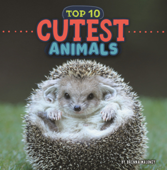 Library Binding Cutest Animals Book