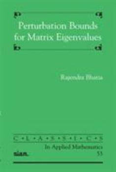 Paperback Perturbation Bounds for Matrix Eigenvalues Book
