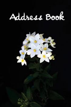 Address Book.: (Flower Edition Vol. C65) Glossy And Soft Cover, Large Print, Font, 6" x 9" For Contacts, Addresses, Phone Numbers, Em