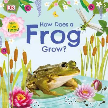 Board book How Does a Frog Grow? Book