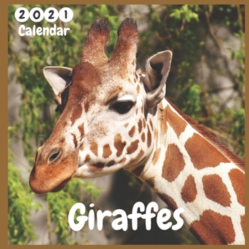 Paperback Giraffe 2021 Wall Calendar: Official Giraffes Calendar 2021, 12 Months, Giraffes Lovers Calendar Book