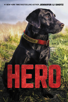 Hero - Book #1 of the Hero