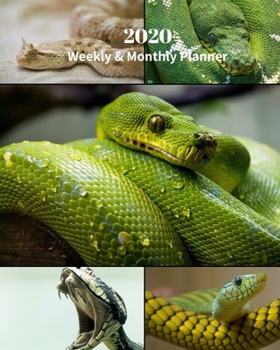 Paperback 2020 Weekly and Monthly Planner: Snakes Collage - Monthly Calendar with U.S./UK/ Canadian/Christian/Jewish/Muslim Holidays- Calendar in Review/Notes 8 Book