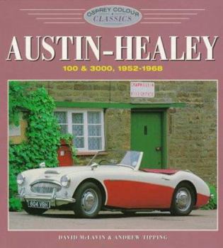 Paperback Austin-Healey Book