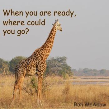 Paperback When you are ready, where could you go? Book