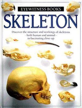 Hardcover Skeleton Book