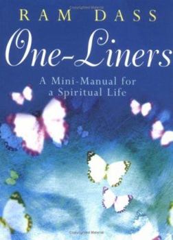 Paperback One Liners : A Mini-Manual for a Spiritual Life Book